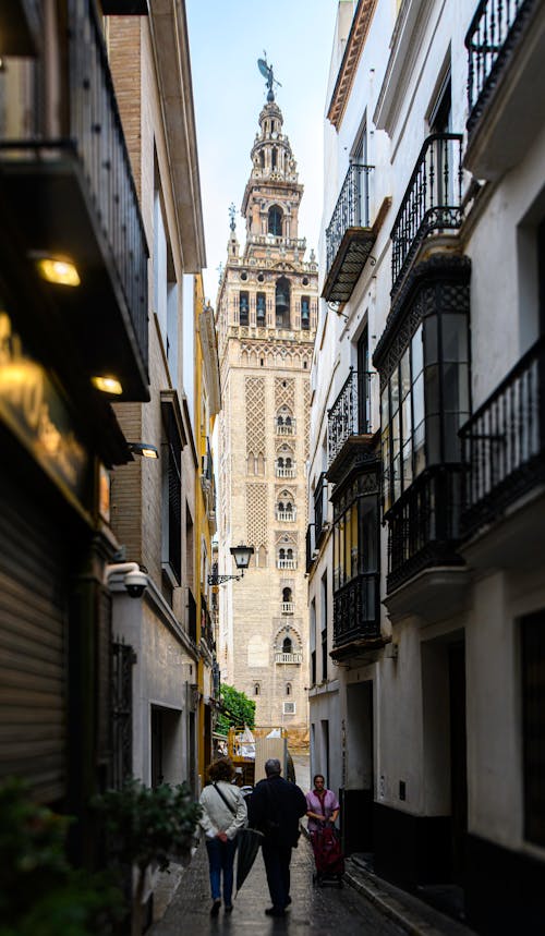 Foto stok gratis gang, kota, la giralda