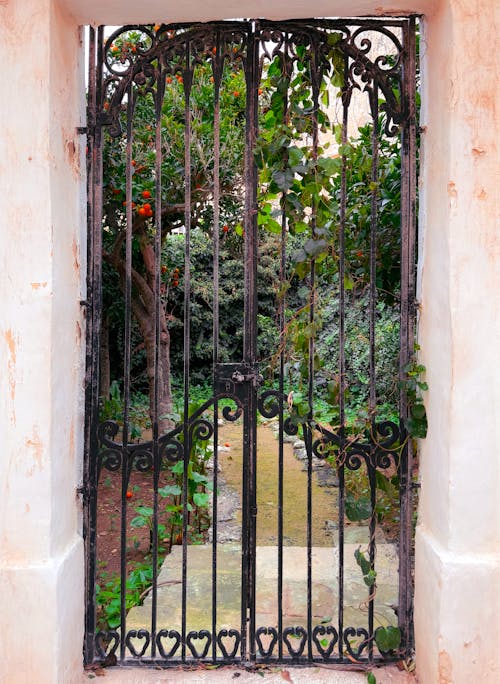 Free stock photo of garden, gate, lemon tree