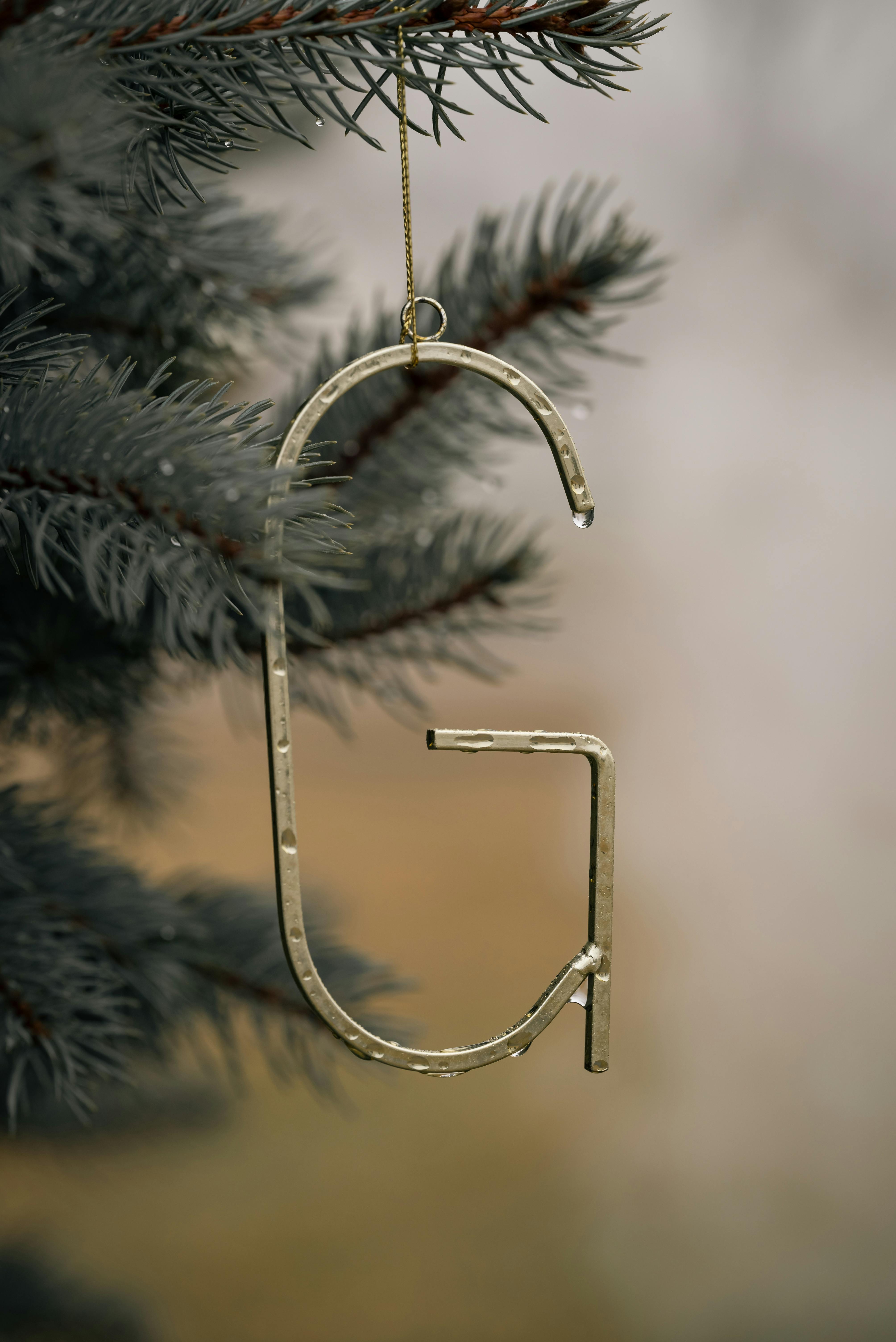 bezplatná Základová fotografie zdarma na téma #krytý, dekorace, design Základová fotografie