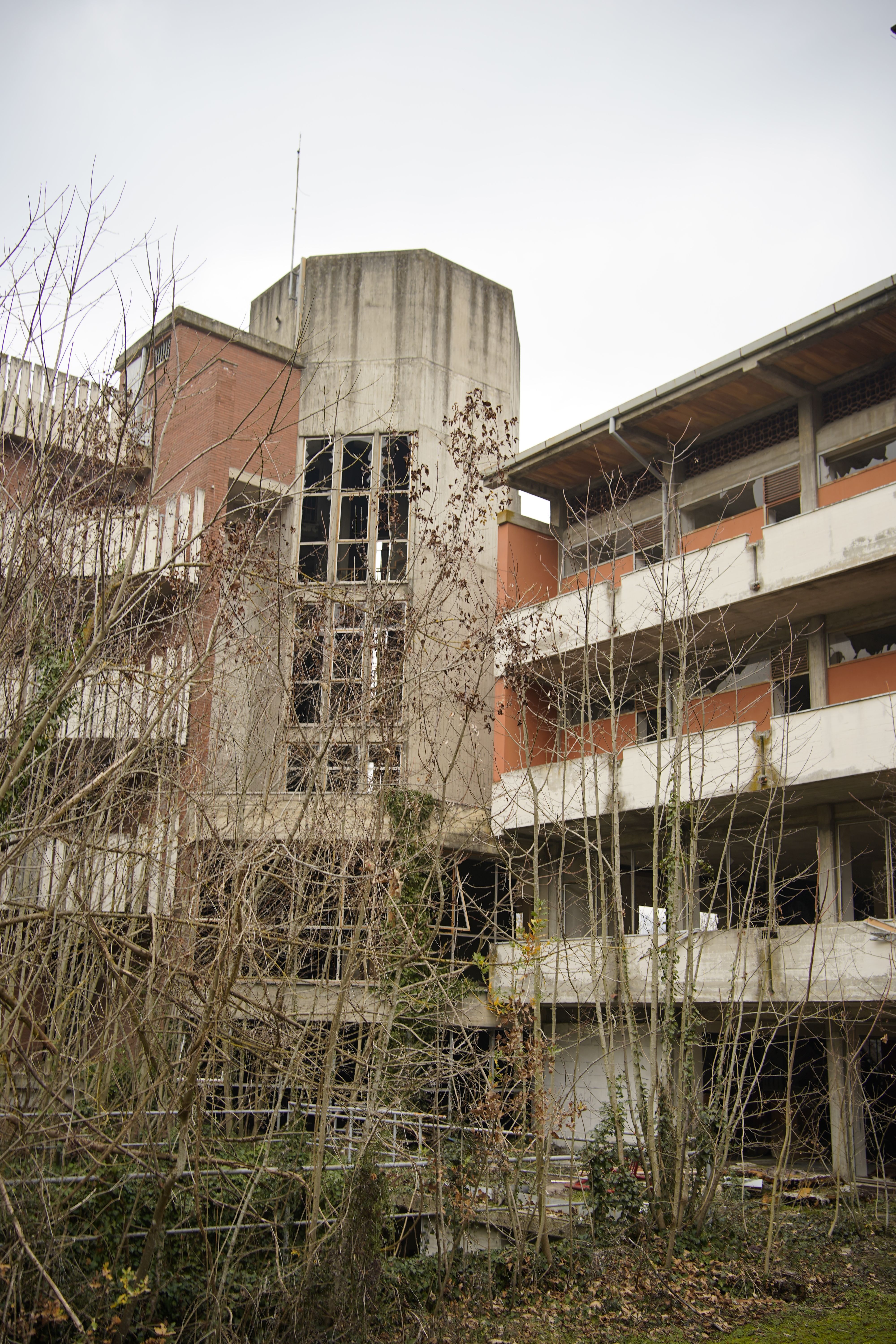Trees near Abandoned Residential Building · Free Stock Photo