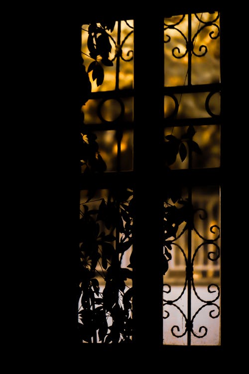 Silhouettes of Leaves behind a Window