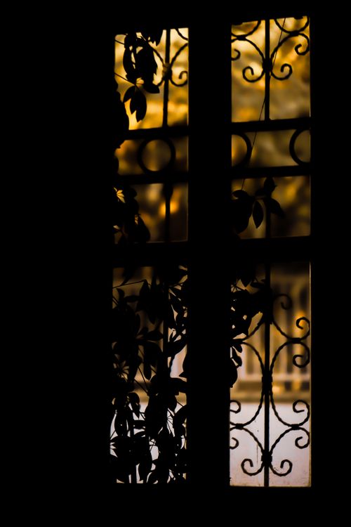 Free Silhouette of intricate window bars adorned with leaves casting shadows in warm bokeh lighting. Stock Photo