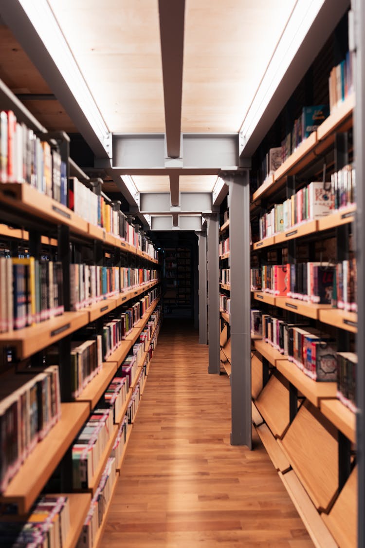 Books On Shelves In Library 