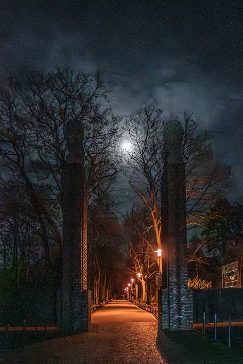 Free stock photo of darmstadt, lion gate, moon