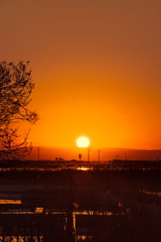Stunning orange sunset with silhouetted trees and calm water reflecting golden light.