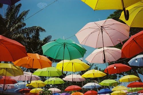 A bunch of colorful umbrellas hanging from a tree