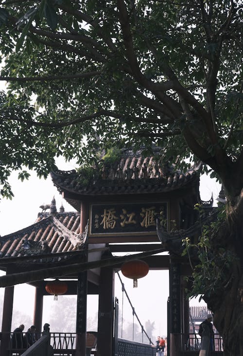 Бесплатное стоковое фото с Азия, вертикальный выстрел, деревья