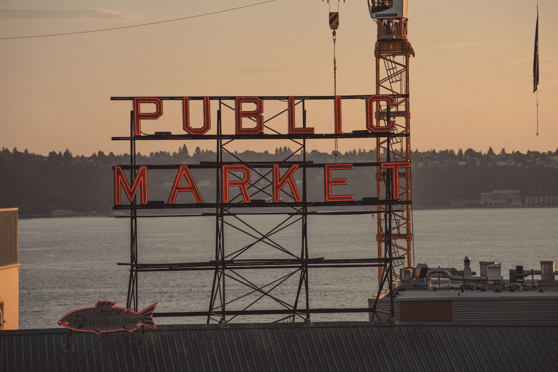 When to Go: The Ultimate Guide to the Best Time to Visit Seattle