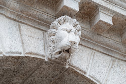 Close-up of Lion Statue on Historical Stone Building Facade