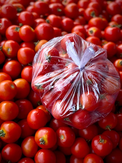 Tomatoes in and around Bag