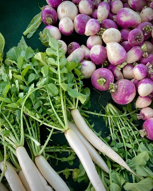 Free Vibrant display of fresh daikon and turnips at a local market. Stock Photo