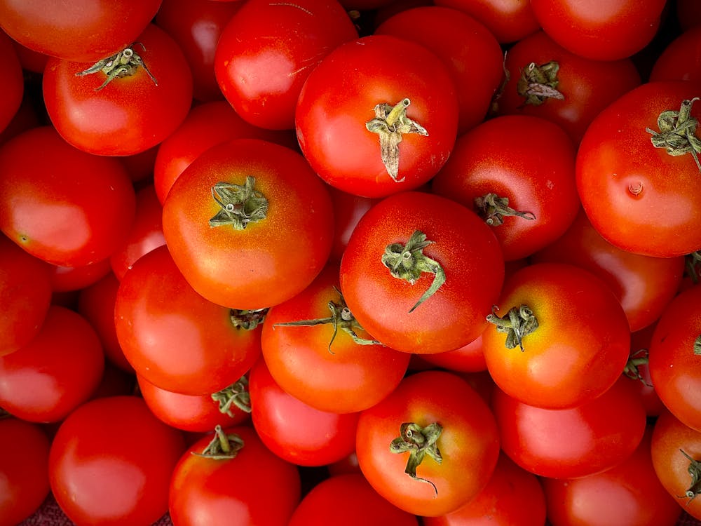 Juicy Tomatoes on Market