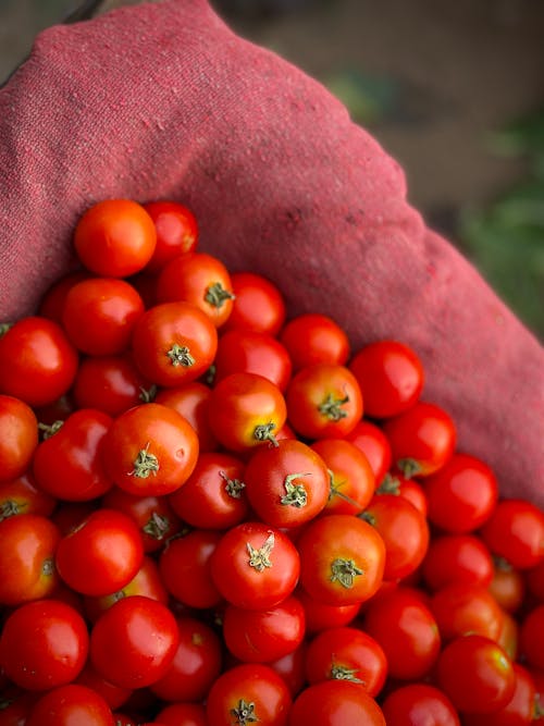 Juicy Tomatoes on Market