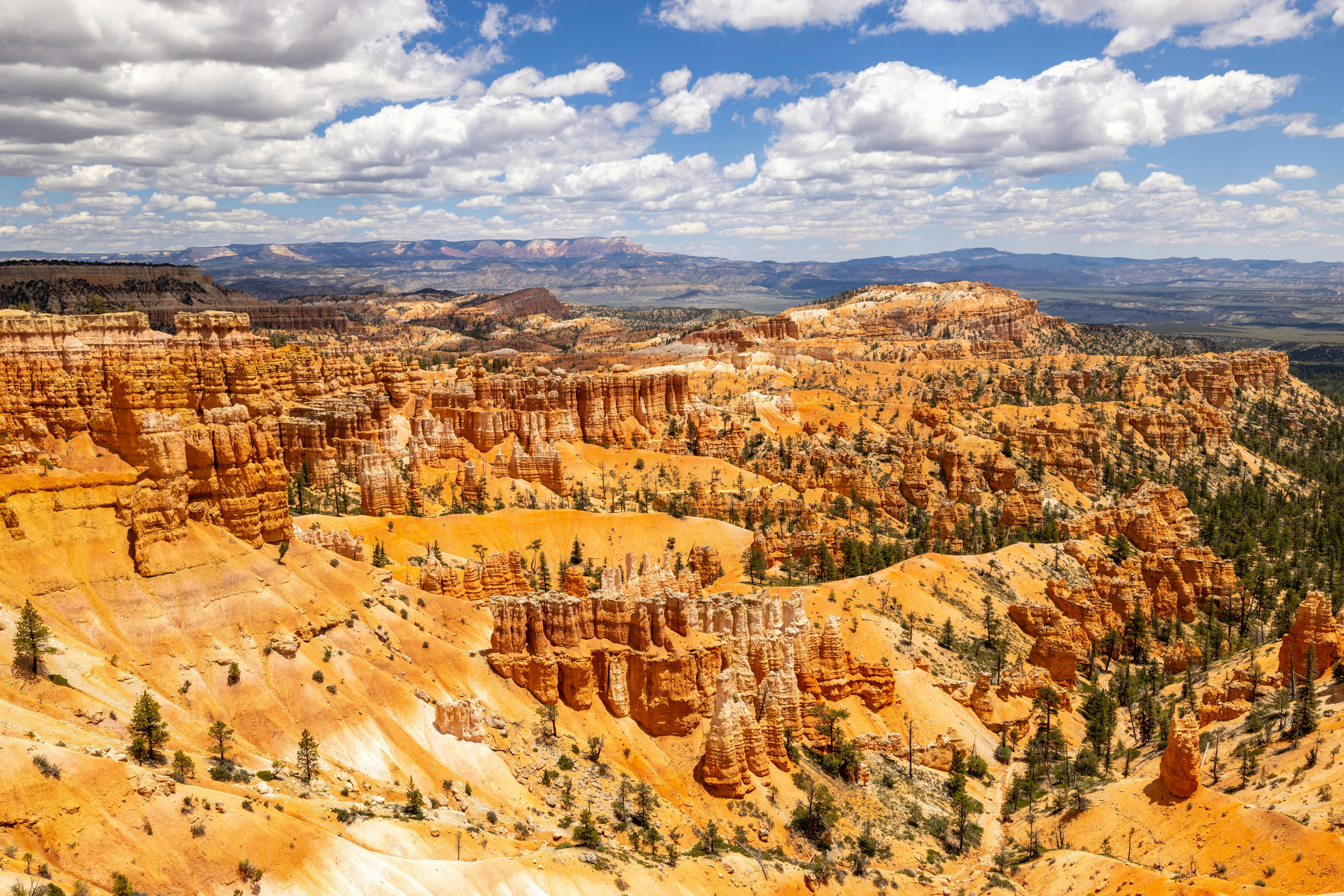 2026 National Park Passes: Are You Wasting Money? The Definitive Comparison for Savvy Travelers