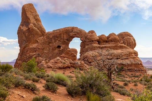 Rocks in Arches National Park in USA