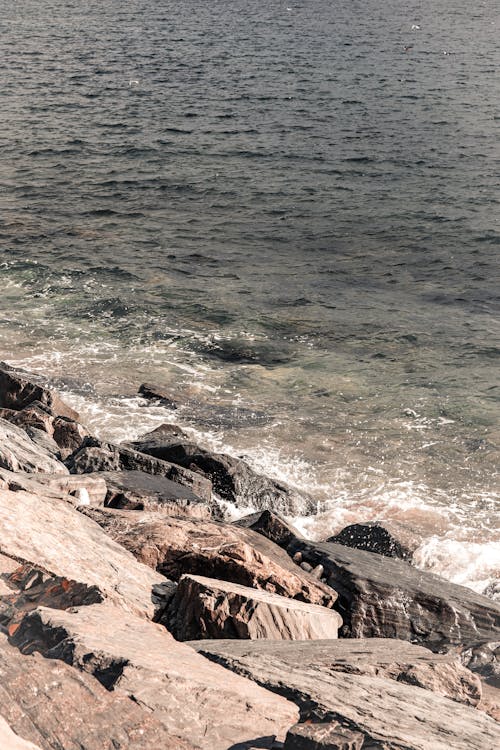 Waves Splashing on Rocks on Seashore