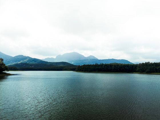 Charlotte Lake