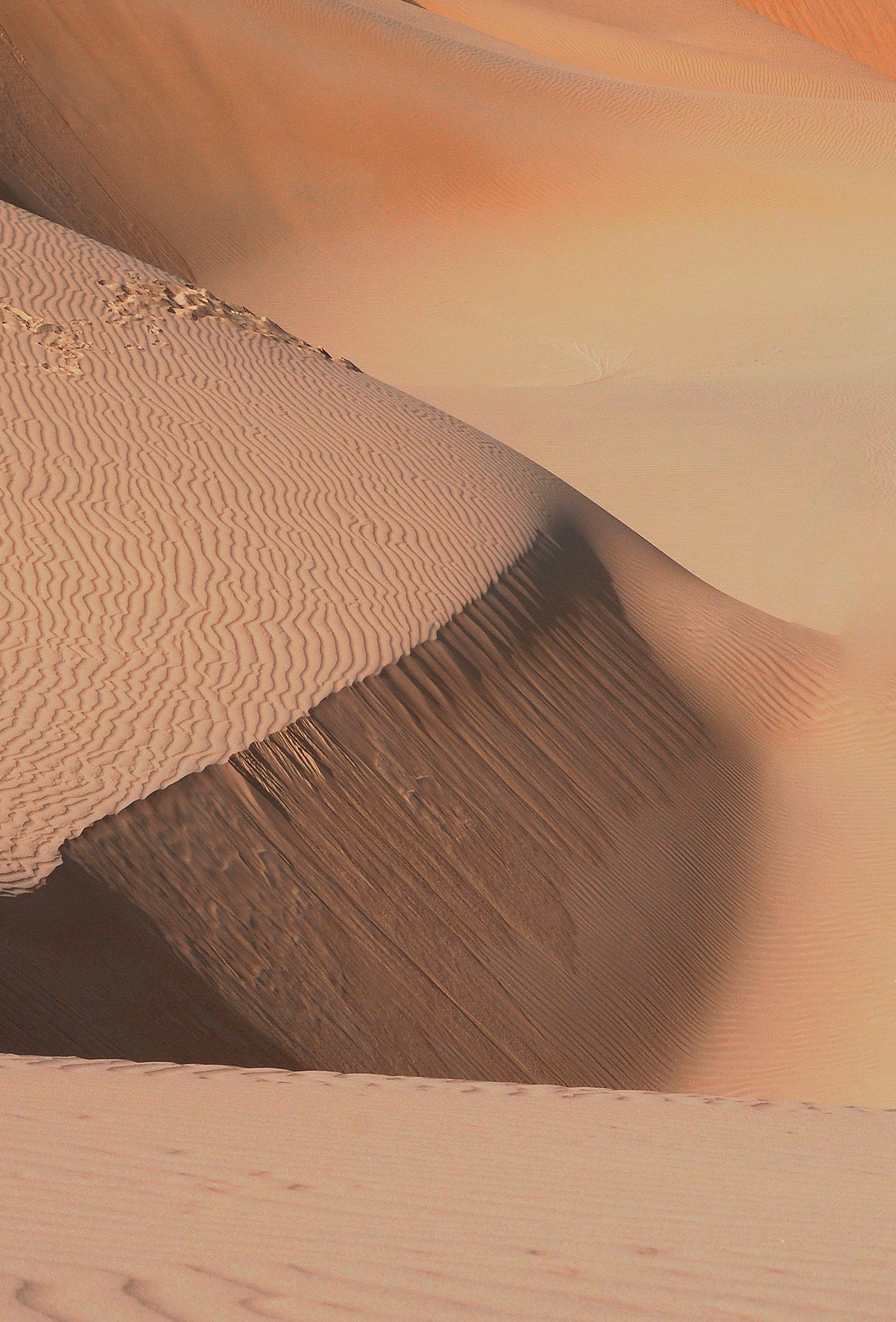 Stunning aerial photo showcasing sweeping desert sand dunes under sunlight.