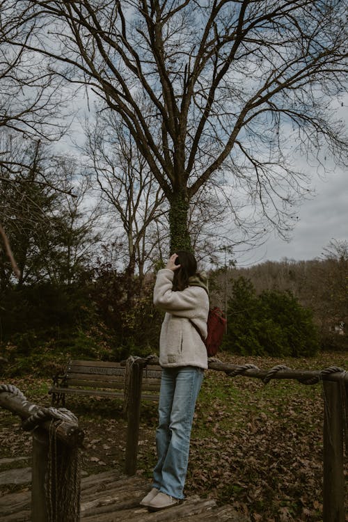 Základová fotografie zdarma na téma bezlistý, flóra, keříky