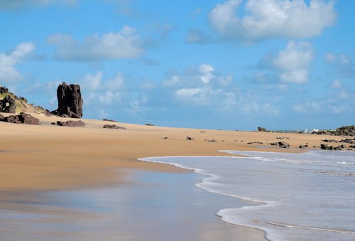 Beach on Sea Shore