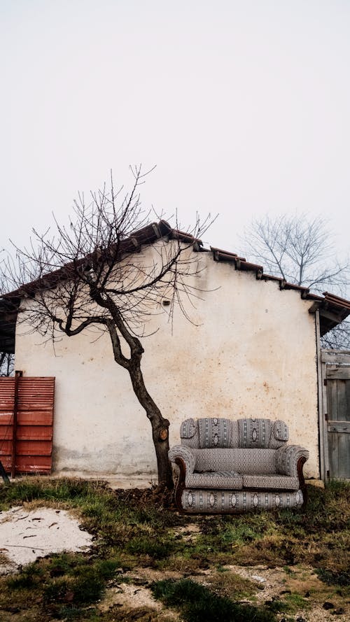 Bare Tree and Couch by House
