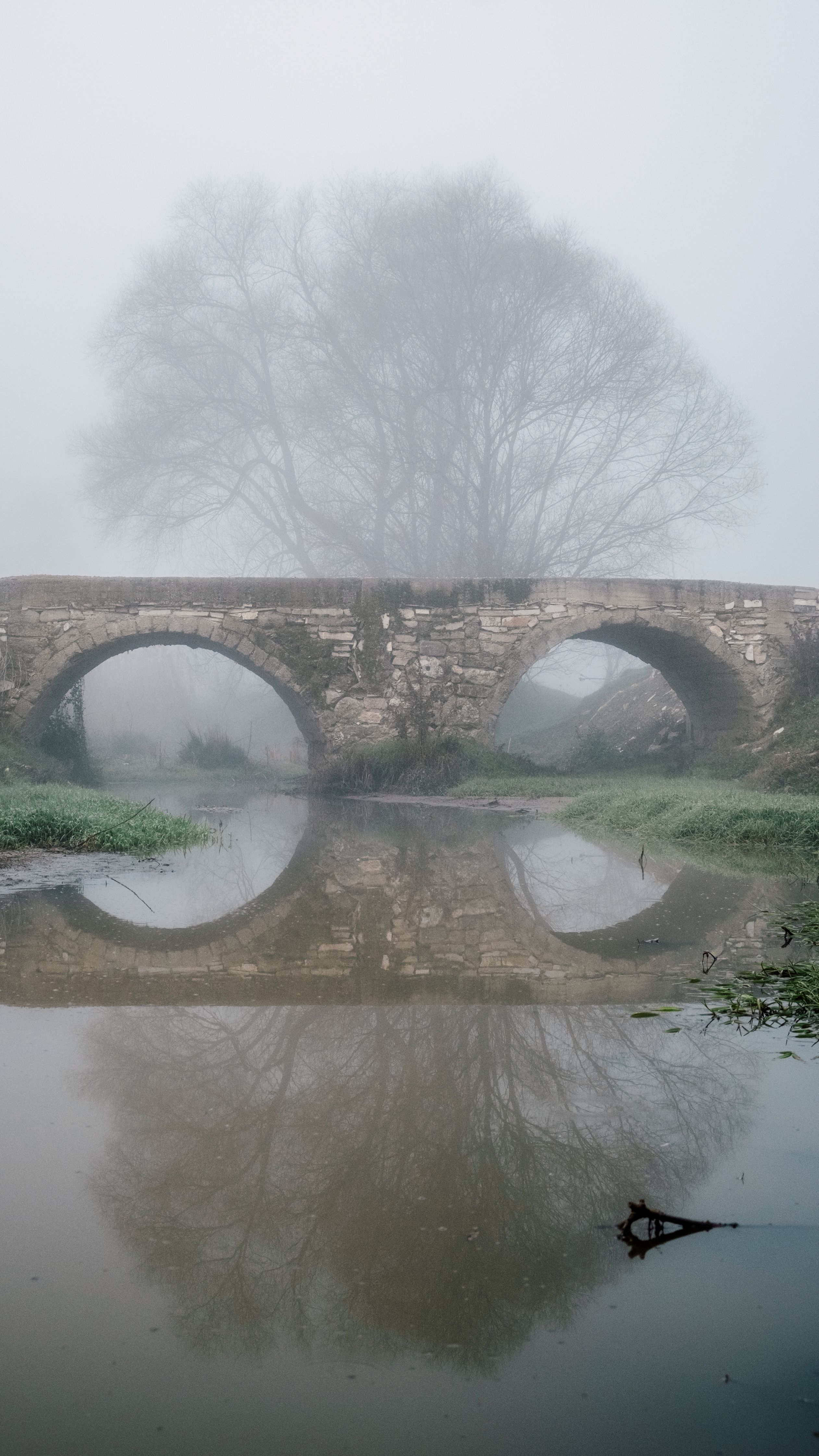 Briage Photos, Download The BEST Free Briage Stock Photos & HD Images