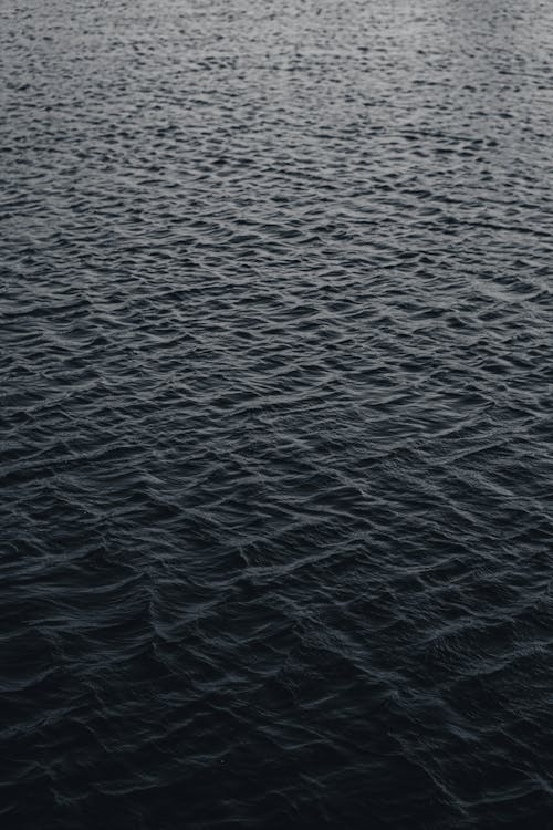 Základová fotografie zdarma na téma kapalina, mávání, moře