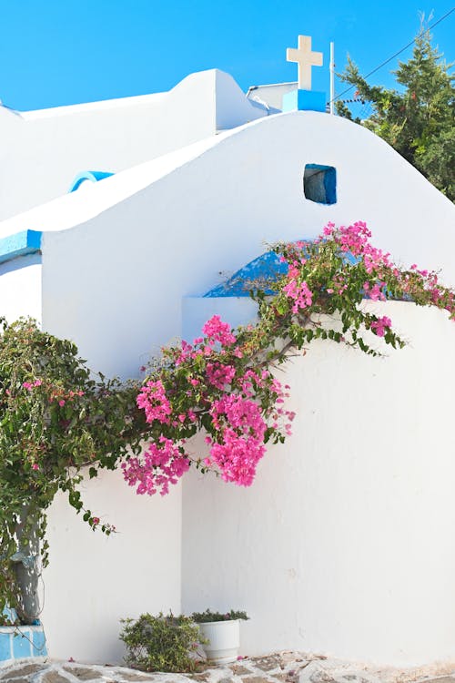 White Building of Orthodox Church