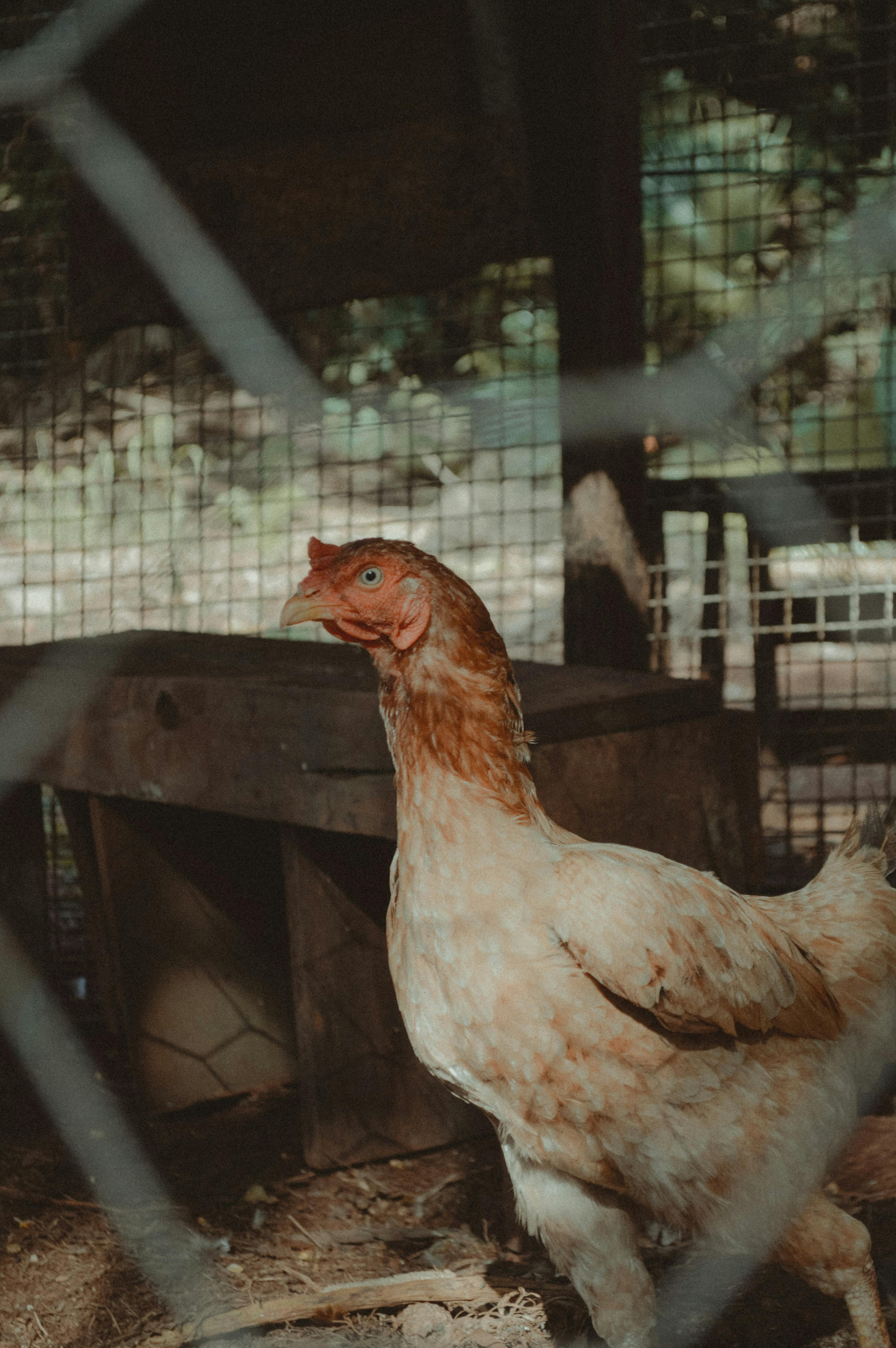 Wisconsin Farm Photos, Download The BEST Free Wisconsin Farm Stock