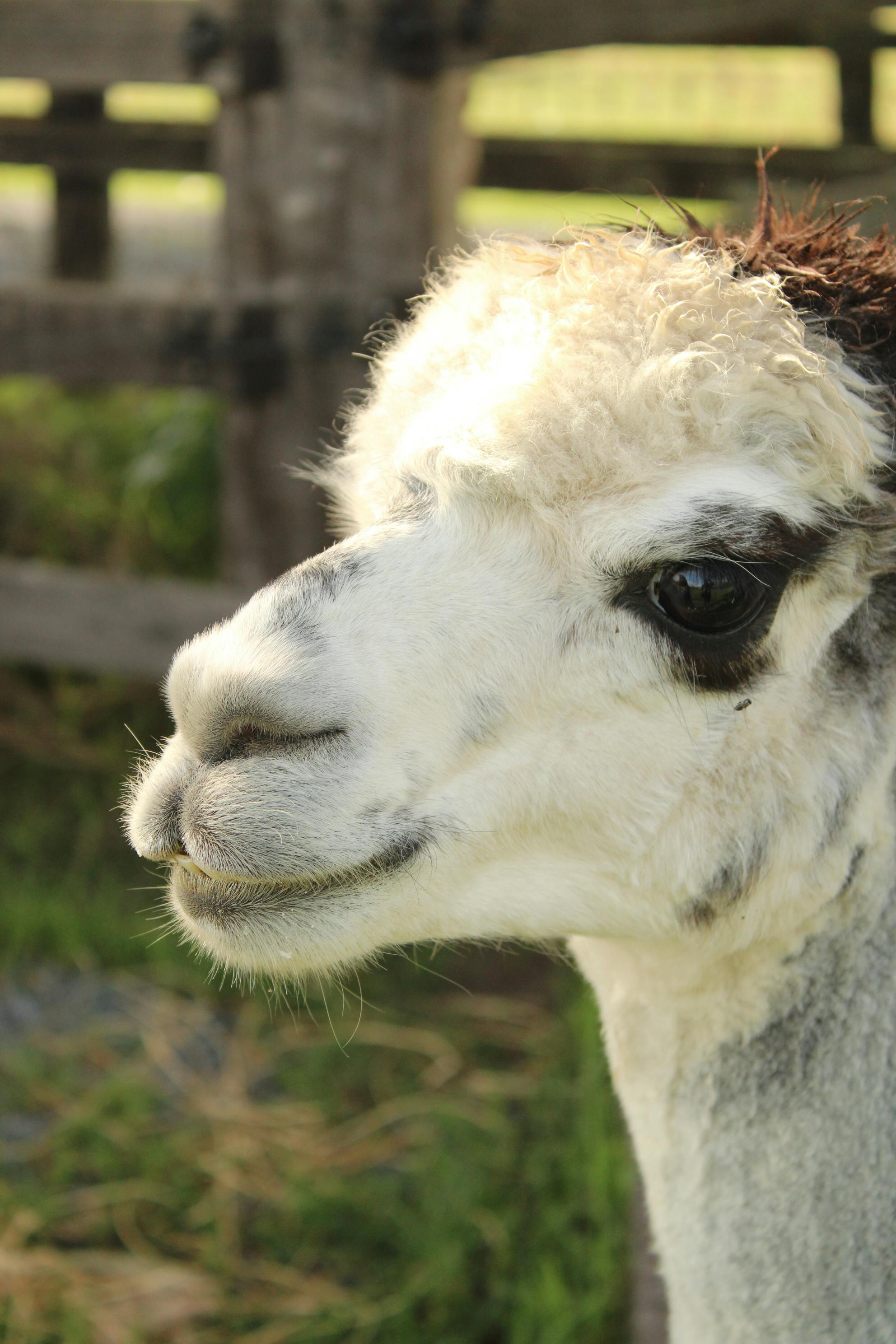 Wisconsin Farm Photos, Download The BEST Free Wisconsin Farm Stock