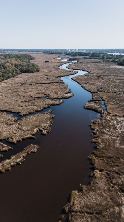 Free Sweeping aerial shot showcasing the tranquil marshland and winding river in Georgia. Stock Photo
