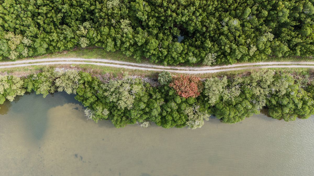 Corridoi Ecologici: Ponti di Natura in Città