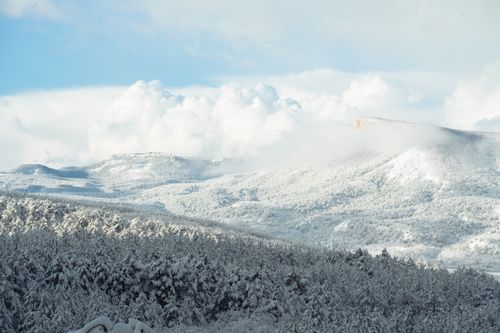 Free Scenic view of snow-covered mountains and forest under a cloudy winter sky. Stock Photo