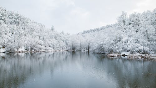 Lake in Forest in Winter