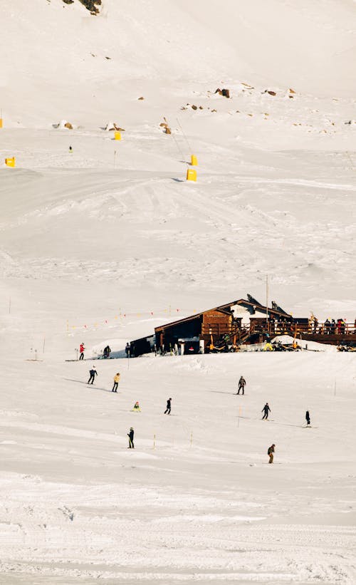 Fotos de stock gratuitas de cabaña alpina, centro turístico, cuesta