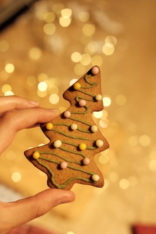 Foto profissional grátis de assado, biscoito, biscoito de gengibre