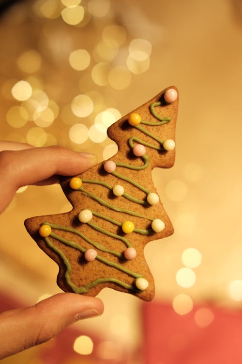 Foto profissional grátis de biscoito de gengibre, celebração, fotografia de alimentos