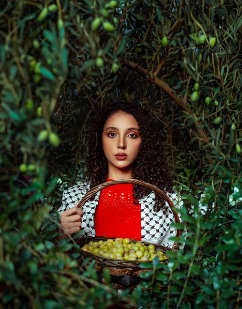 Free Middle Eastern woman in olive grove holding fruit basket, vibrant nature scene. Stock Photo