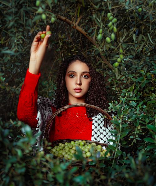 Free A young woman in a vibrant red sweater picks olives in a lush orchard, Baghdad, Iraq. Stock Photo