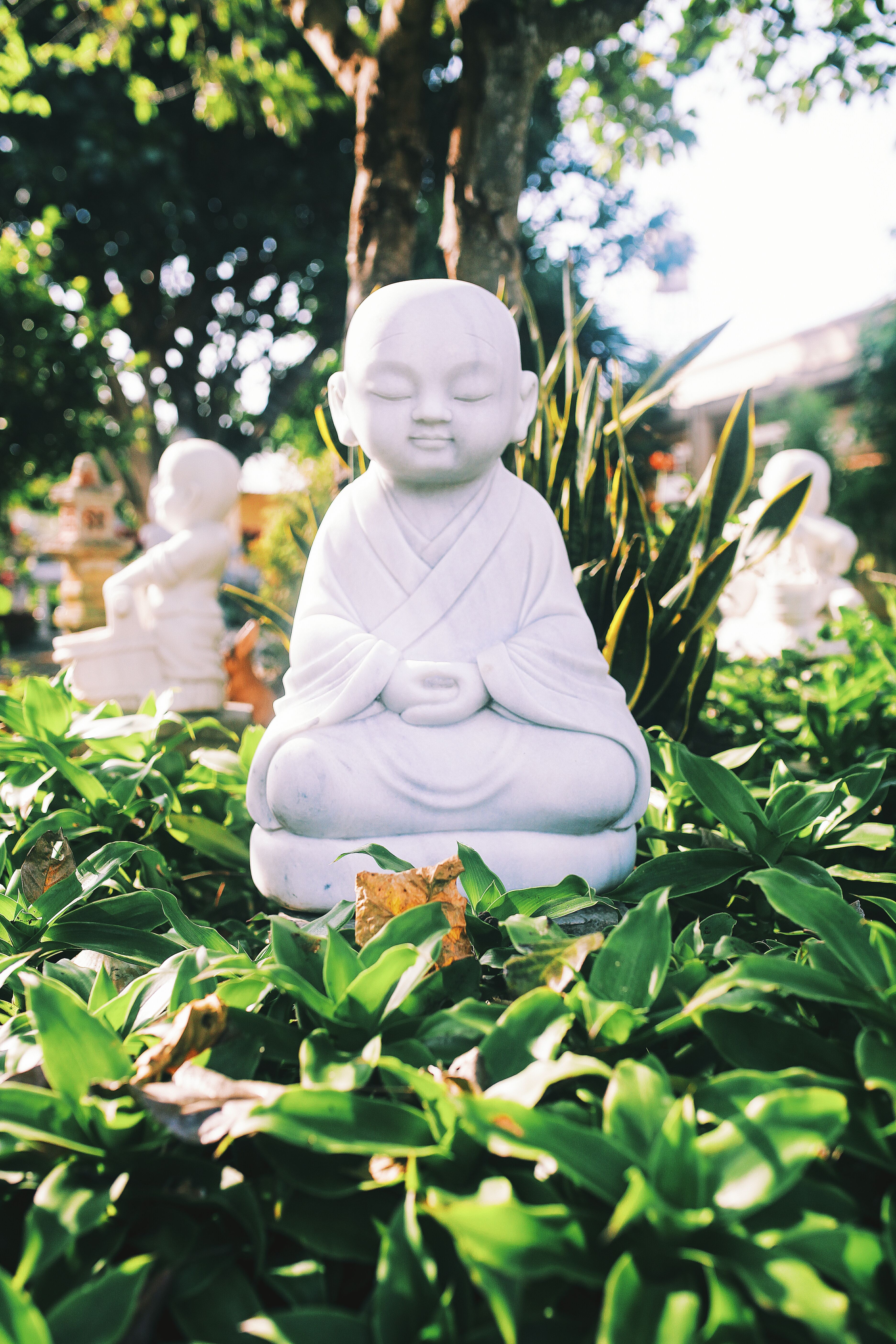 A relaxed reader’s guide to walking meditation