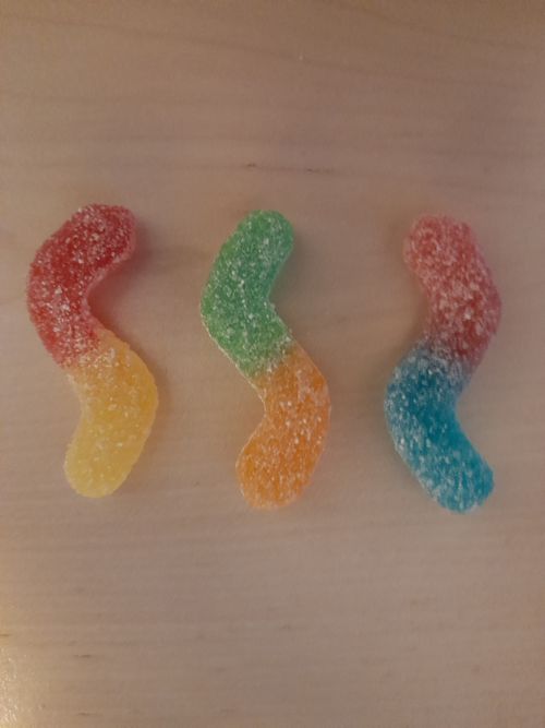 Free worms Stock Photo