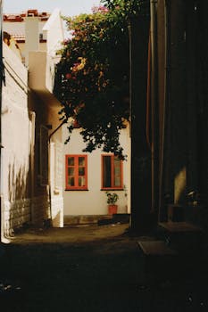 Sunlight casts shadows in a quaint alley with blooming flowers and rustic windows.
