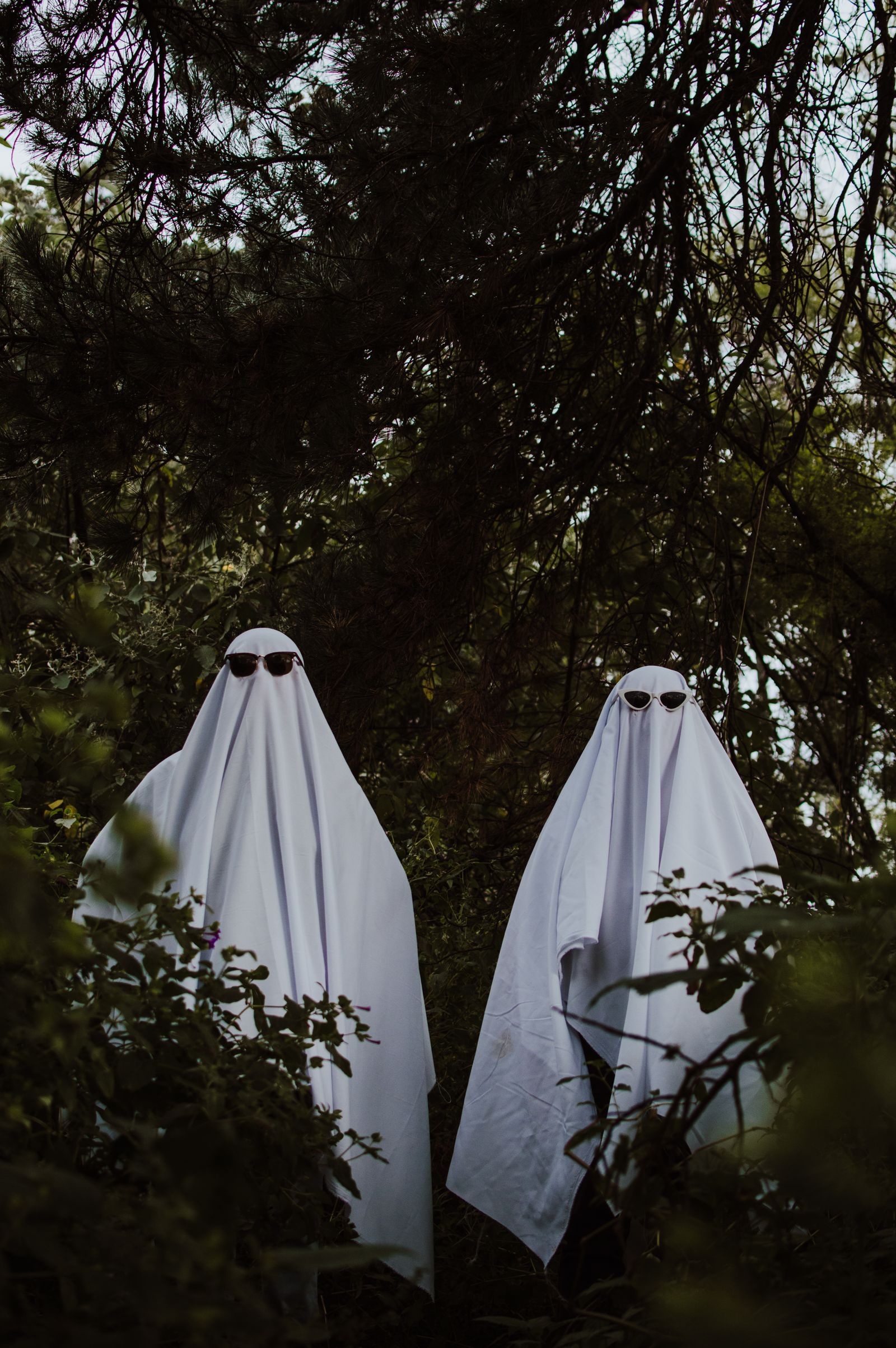 Ghost Image While Form Is Loading A Ghost in the Forest · Free Stock Photo