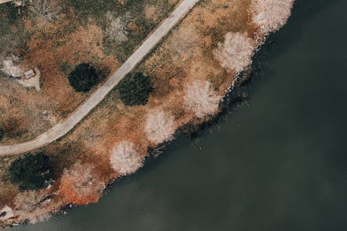 Darmowe zdjęcie z galerii z droga, drzewa, fotografia lotnicza