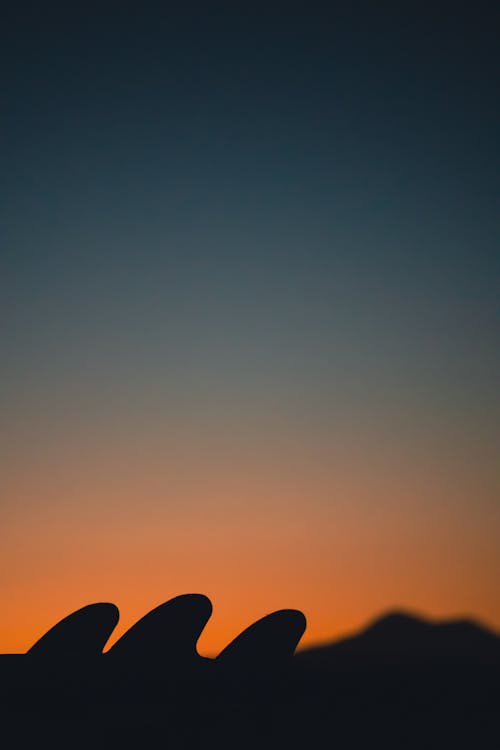 Δωρεάν στοκ φωτογραφιών με billabong, surf board, Ανατολή ηλίου