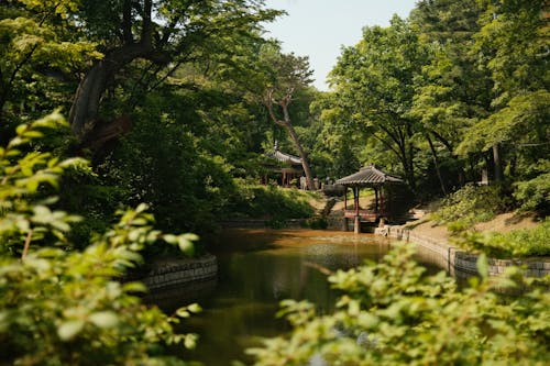 Ilmainen kuvapankkikuva tunnisteilla changdeokgung salainen puutarha, Etelä-Korea, huvimaja