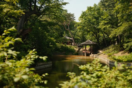 This tranquil garden scene features lush greenery and a calm pond at Changdeokgung Palace.