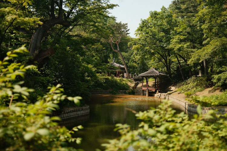 Changdeokgung Secret Garden In South Korea 