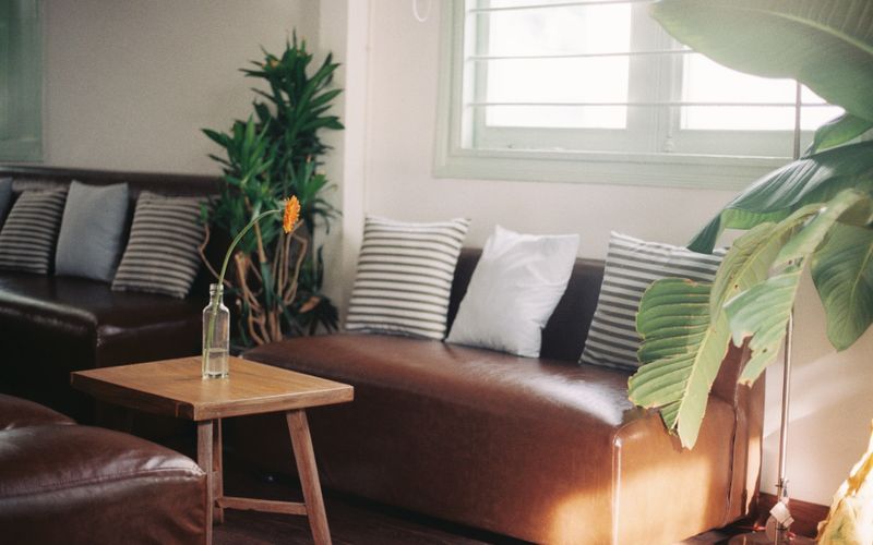 Sofa da thật, chất da bền bỉ sang trọng