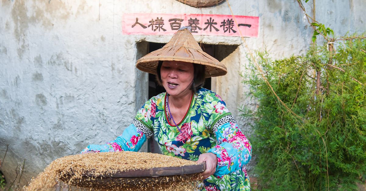 苗栗女中彩券抱走1億!🎉💰